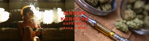 PSILOCYBIN Белокуриха